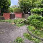 新西方保育園園庭1